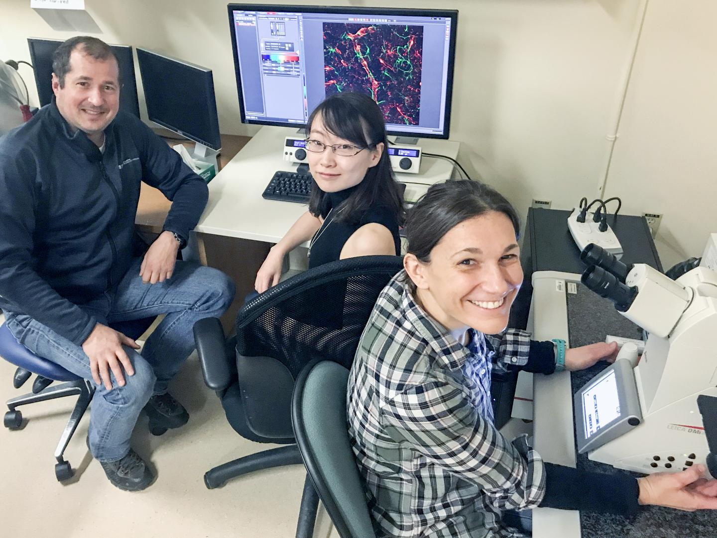 Karim Fouad, Yaqing Li, and Ana M. Lucas-Osma, University of Alberta 