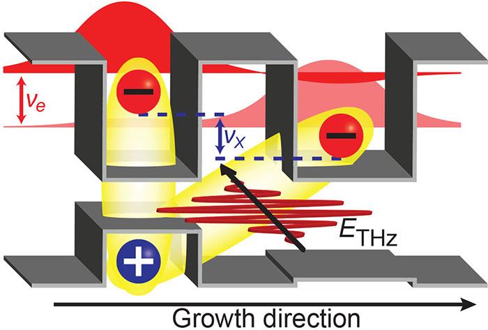 Illustration of the Transport Phenomenon
