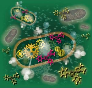 New technology that significantly reduces the time it takes to measure viable bacteria in food