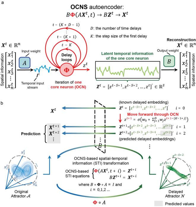 Overview of the OCNS as a “small model” for time-series predicting.