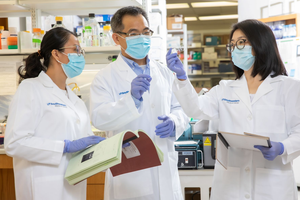 Drs. Carolina Serrano Garcia, Chun-Li Zhang, and Lei-Lei Wang