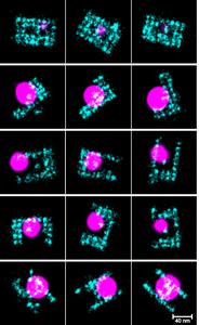 DNA-PAINT imaged nanostructures