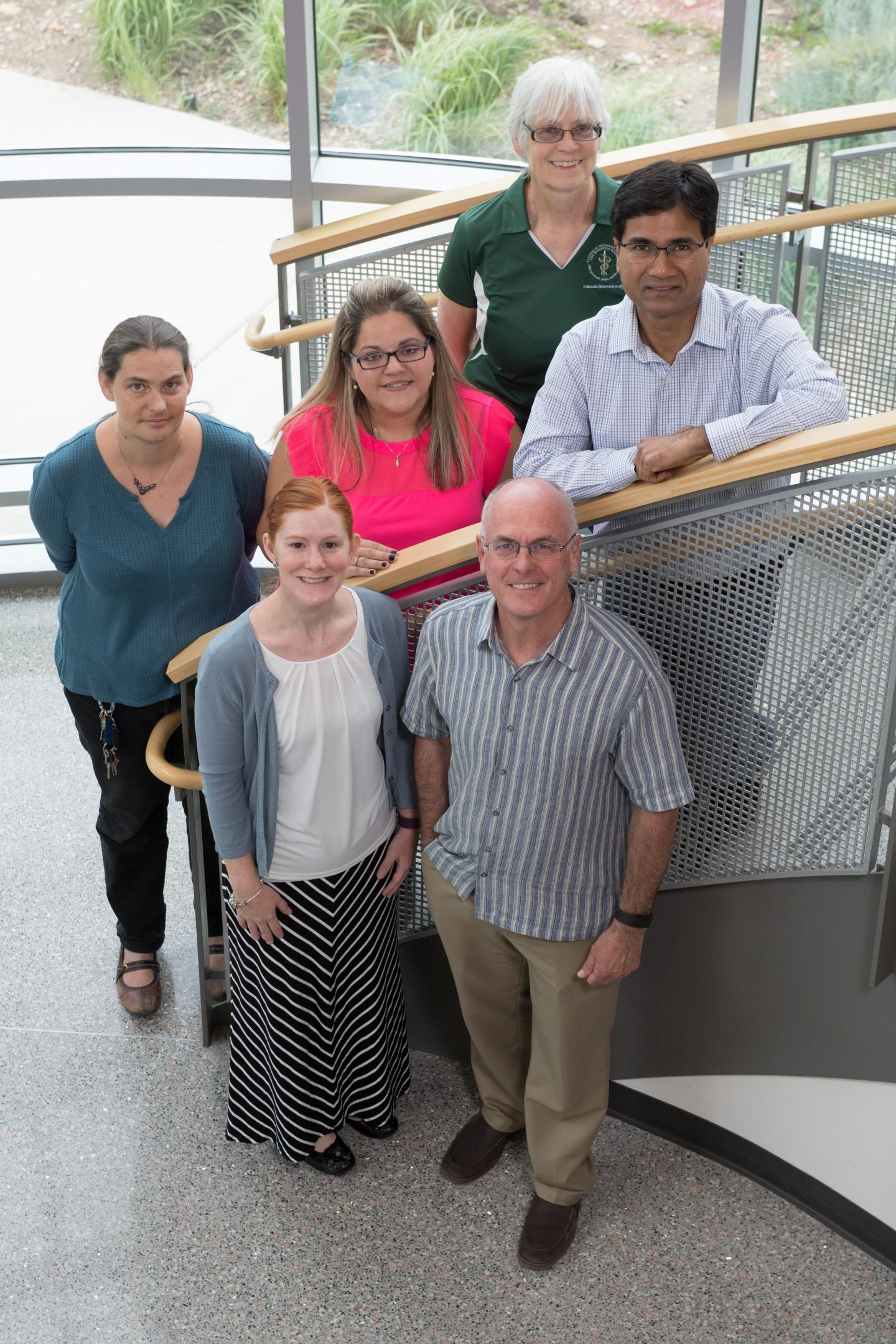 CSU CDC researchers Lyme disease