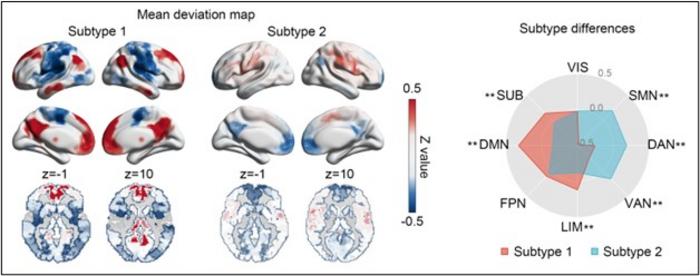 Brain imaging-based biomarker of depression identified