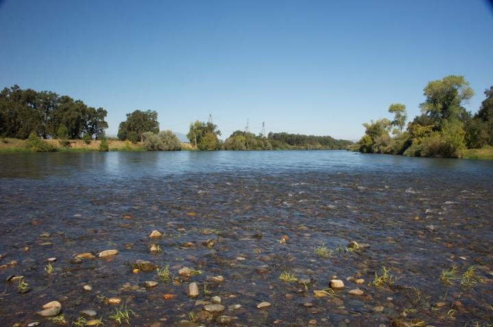 Sacramento River