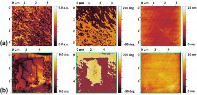 Ferroelectric Single-Crystal-Architecture-In-Glass