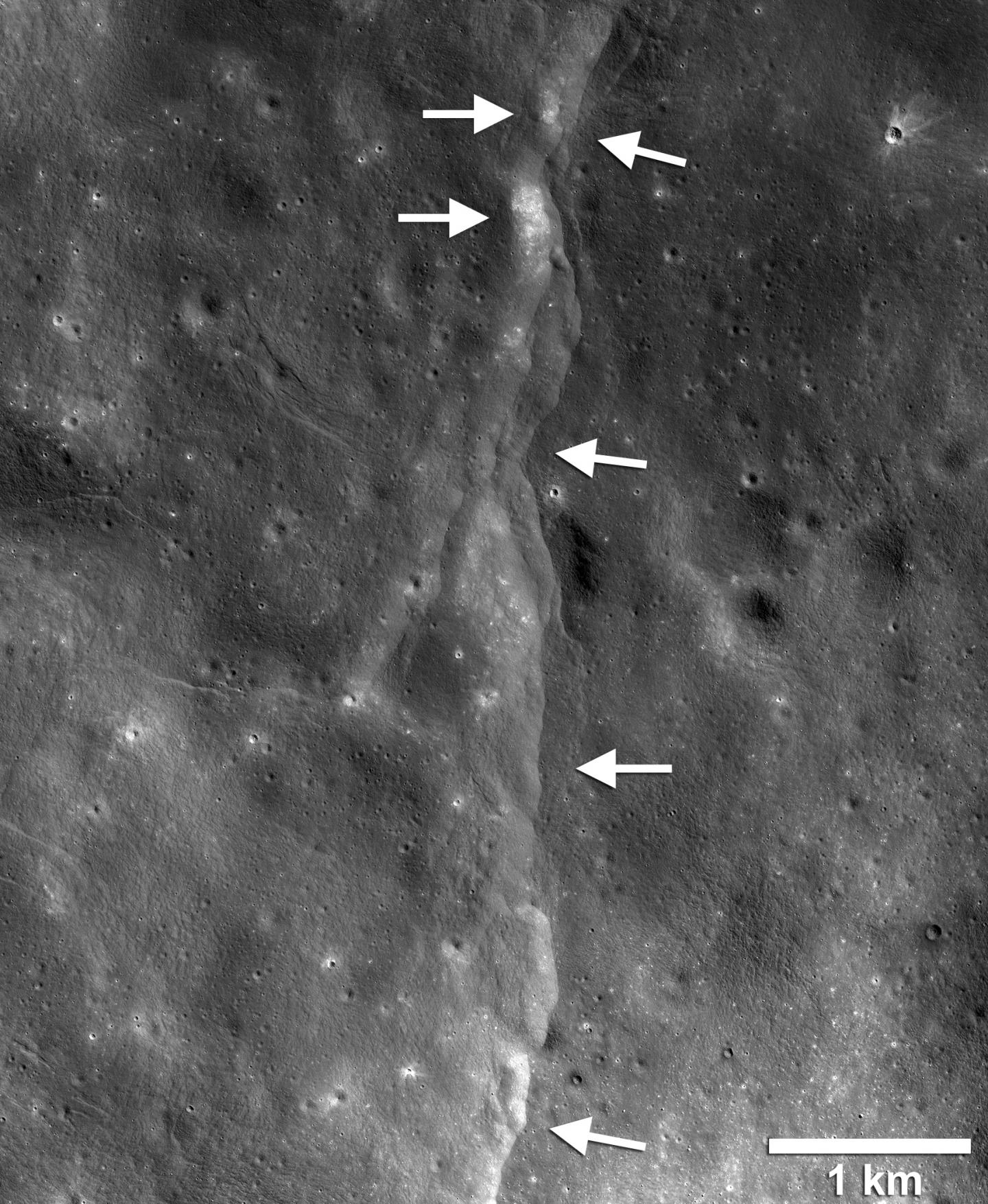 Internet on Moon? Scientists want to lay 'Fibre Optic Cables' on lunar  surface to understand seismic activities