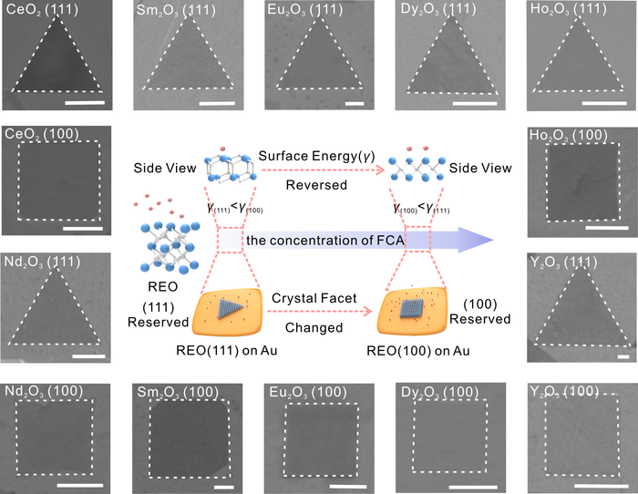 Schematic illustration and the universality of the facet-controllable synthesis strategy assisted by FCA