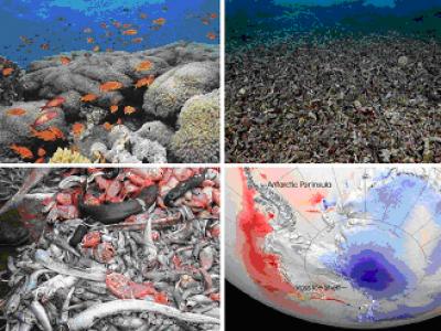 Change in Marine Environments