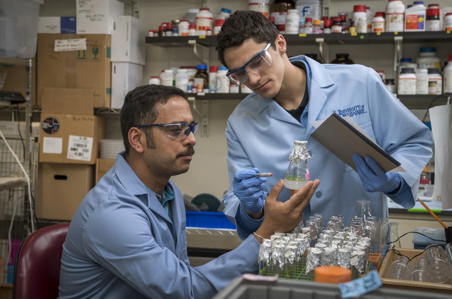 Researchers Discover Plants Can Send out Warnings