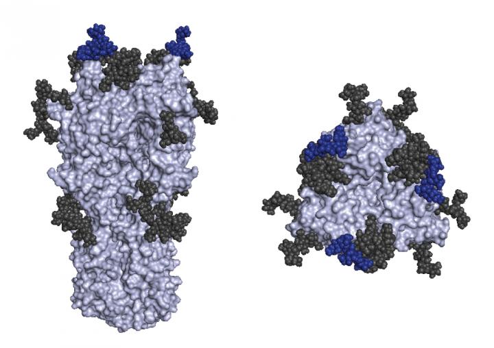 Major Flu Vaccine Antigen