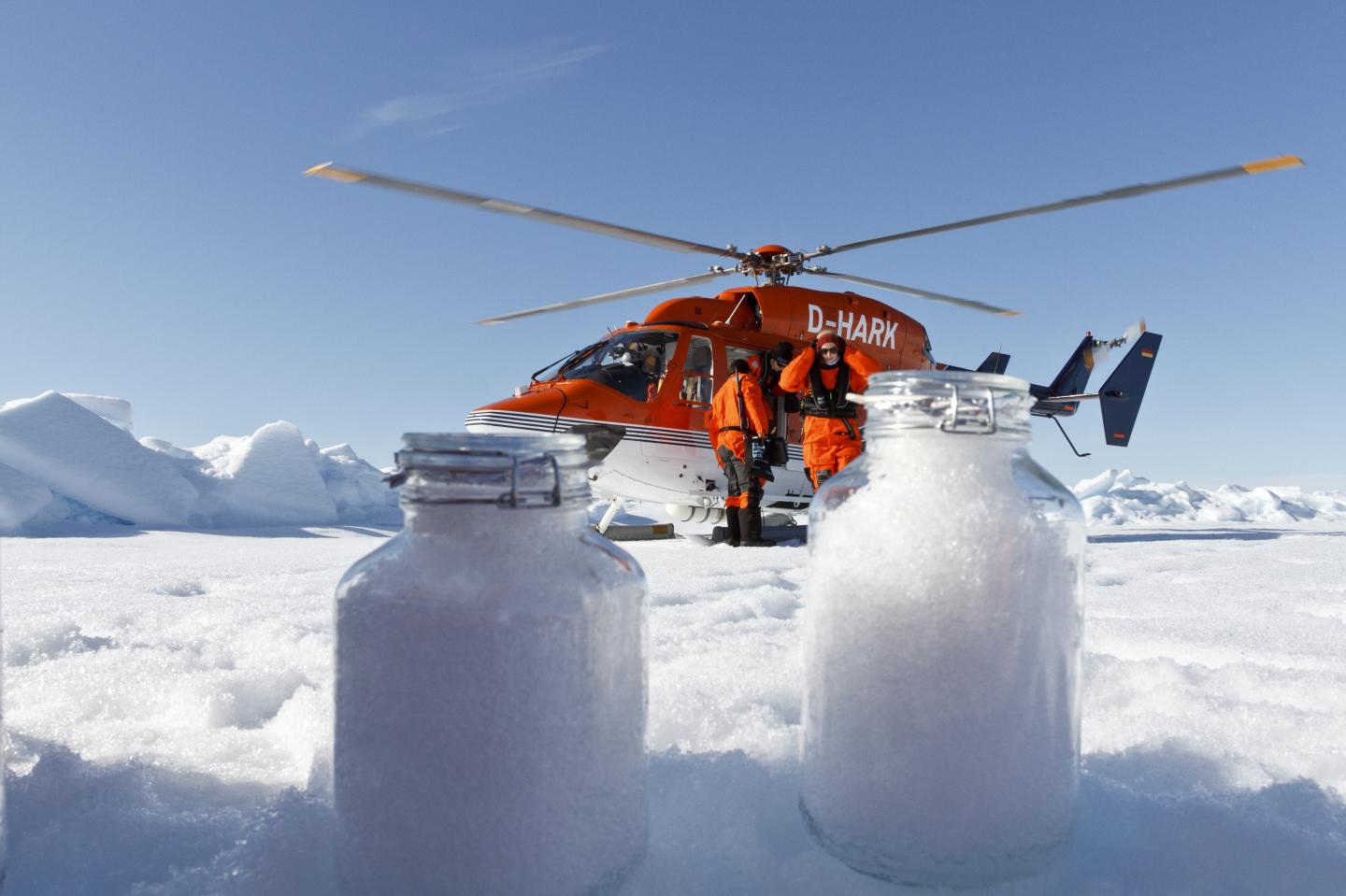 Snow samples from Arctic sea ice