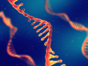 RNA diverse structure