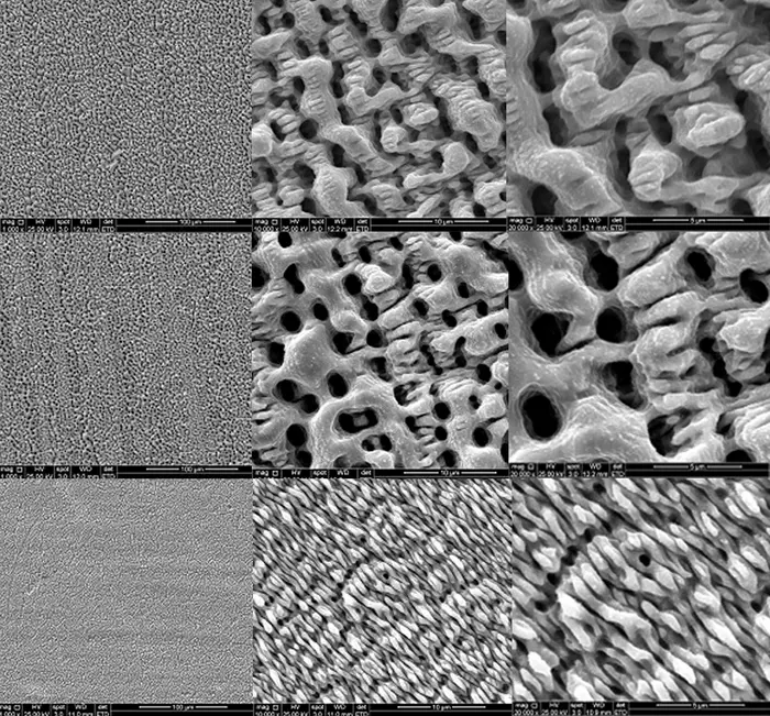 Micro- and nanoscale textures at the scale of bacterial cells