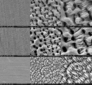 Micro- and nanoscale textures at the scale of bacterial cells