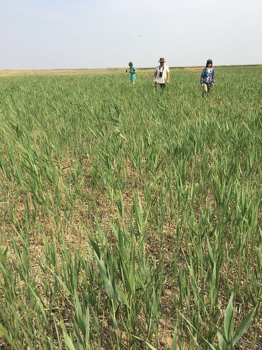 The research team working in China