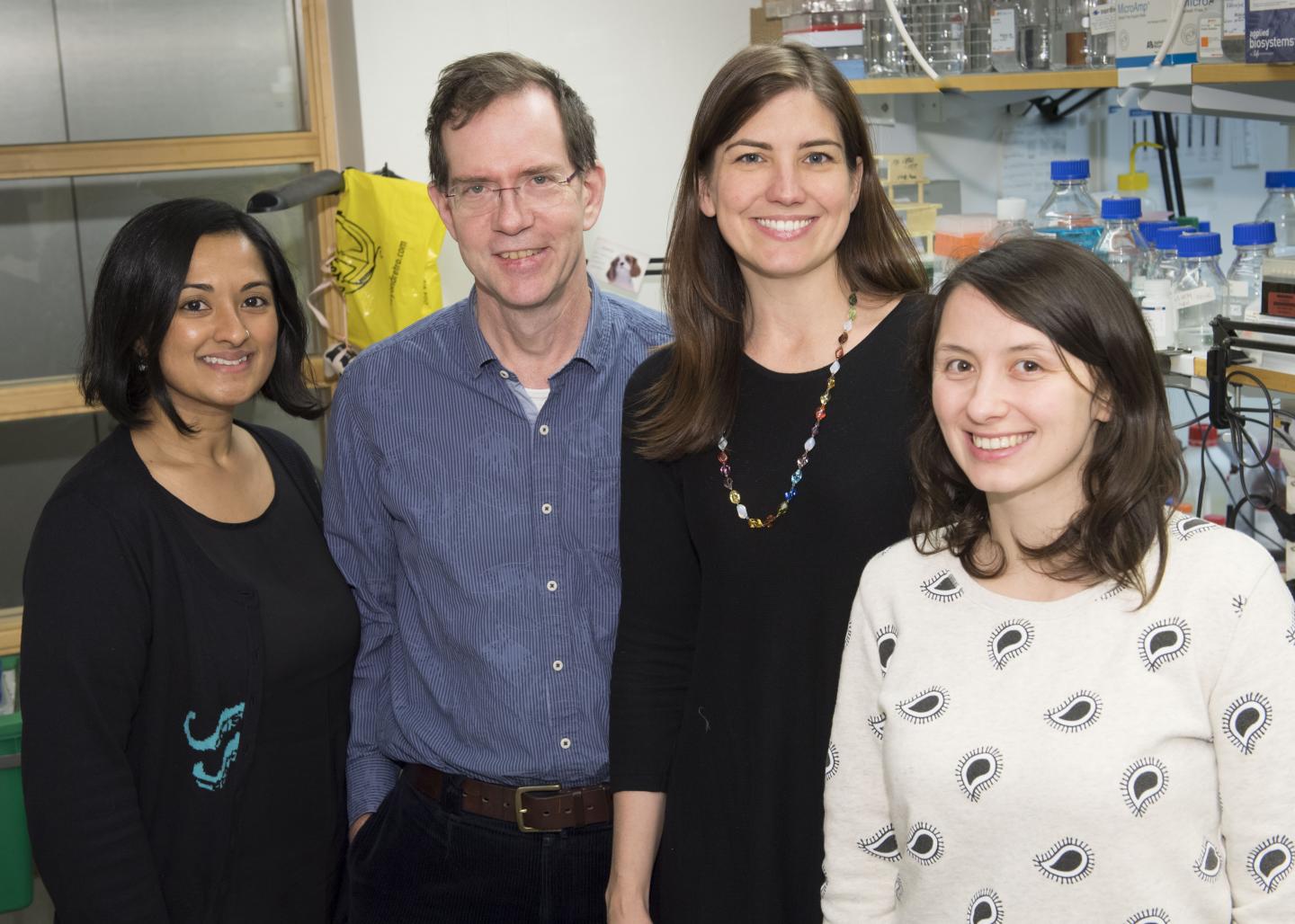 Co-authors and Researchers at Karolinska Institutet