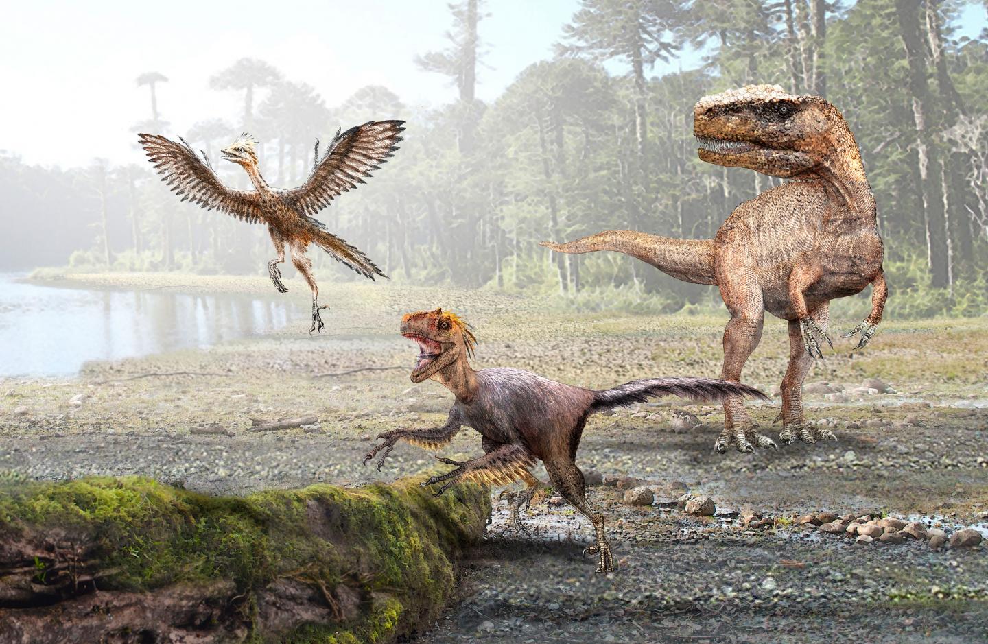 Ability to Regulate Body Heat Emerged as Dinosaurs "Shrunk" (1 of 3)