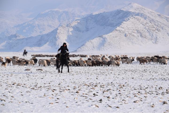 Kazakh herders in north-western Xinjiang