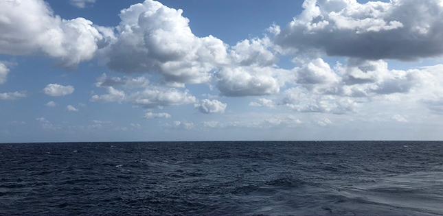 Kuroshio Current May Be Responsible for Climatic Discomfort in Tokyo, Scientists Find