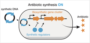 CRISPR 1