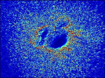 Heat Map of Heart Valve Culture