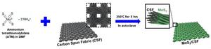 Schematic illustration of synthetic concept and fabrication procedure of MoS2/CSF