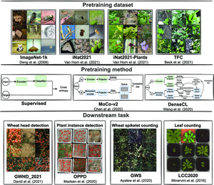 Fig. 1. An overview of the major components of the experimental design.