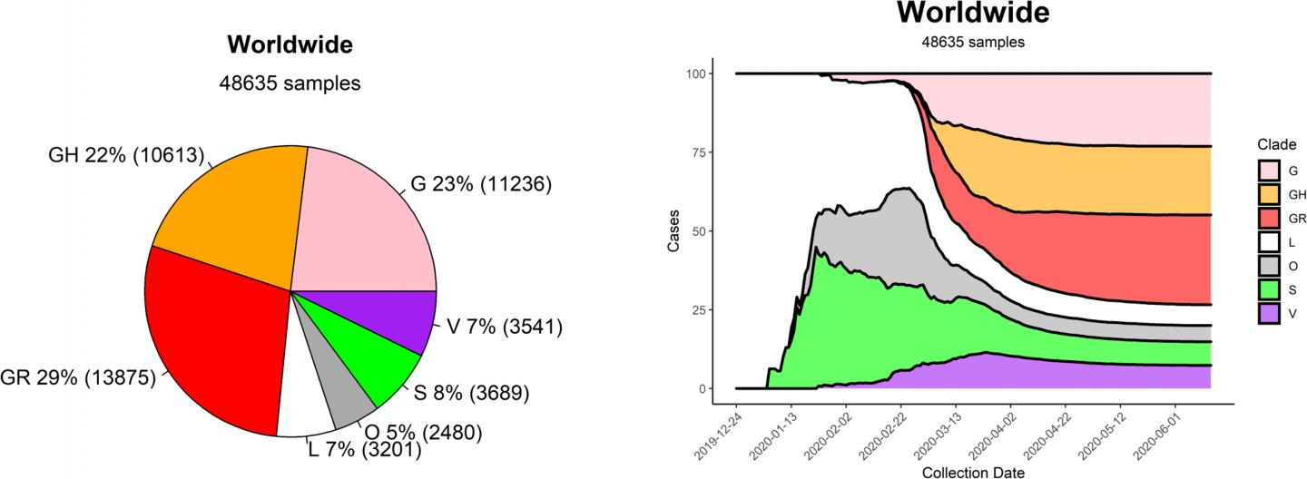 Worldwide Distribution of the SARS-CoV-2 Six Strains