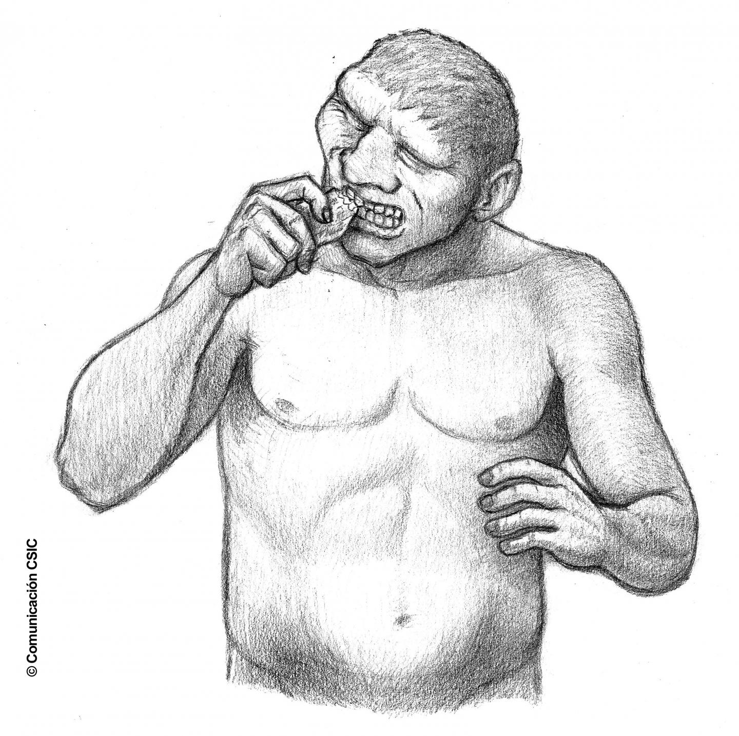 Neanderthal Communities 