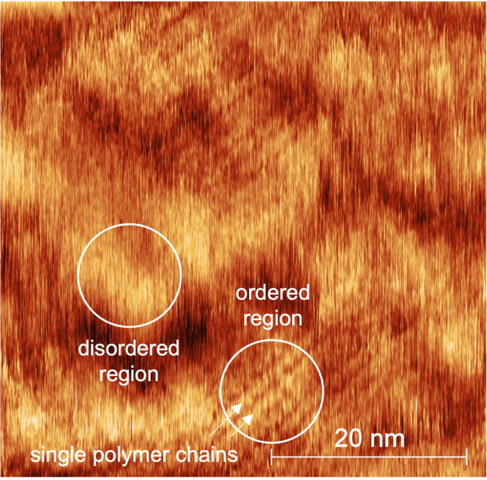 'Fruitcake' structure observed in organic polymers