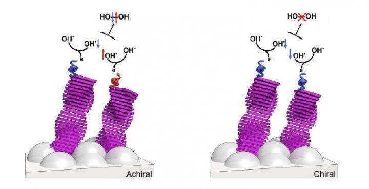 Molecular Structures