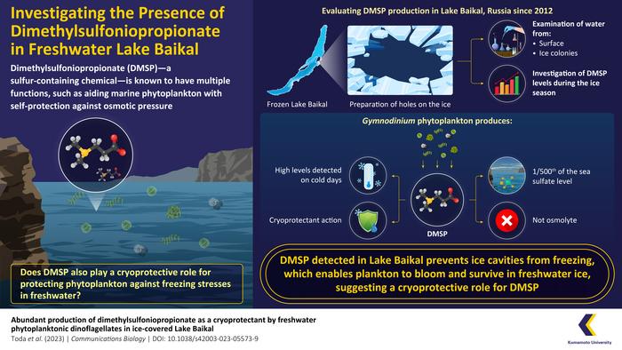 Freshwater phytoplankton in ice-covered Lake Baikal produce dimethylsulfoniopropionate (DMSP) during colder days.