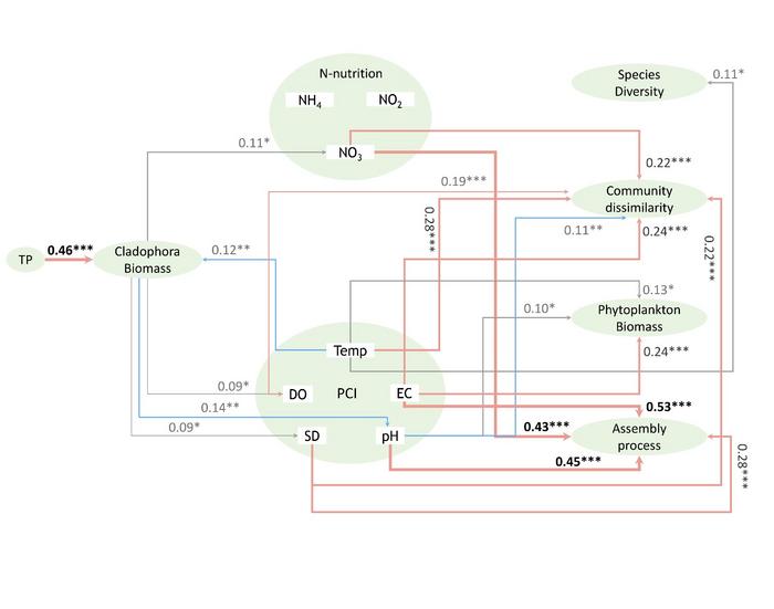 Correlation among Cladophora biomass, phosphorus, nitrogen, physicochemical properties, phytoplankton species diversity, community dissimilarity, phytoplankton biomass, and assembly processes.