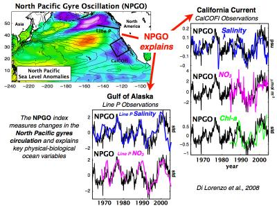 North Pacific Gyre Oscillation