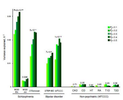 Schizophrenia/Bipolar Overlap