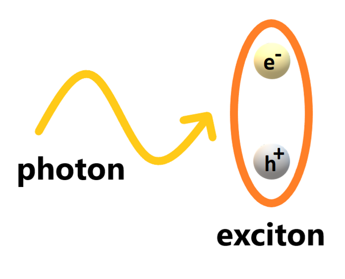 Exciton polariton [IMAGE] | EurekAlert! Science News Releases