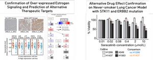 Drug Discovery and Anticancer Effects Demonstrated Using Specific Mutations in Korean Never-Smoking Lung Cancer