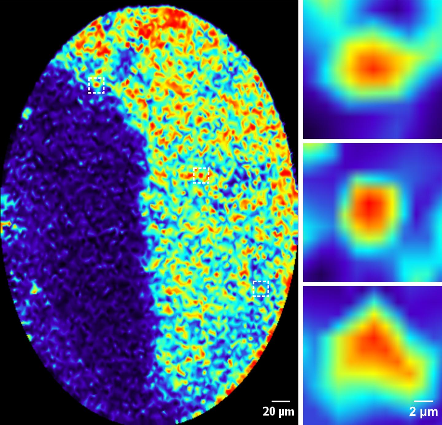 Synchronization of Memory Cells