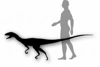 Daemonosaurus size