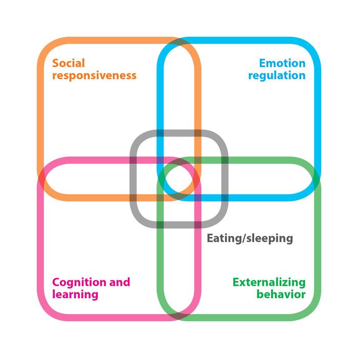 Overview of the conceptualization of DuMAND