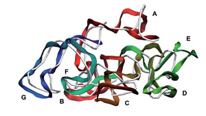 Aston University creates world first computational reconstruction of a virus in its biological entirety