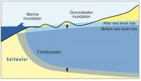 Groundwater Inundation Caused by Sea Level Rise