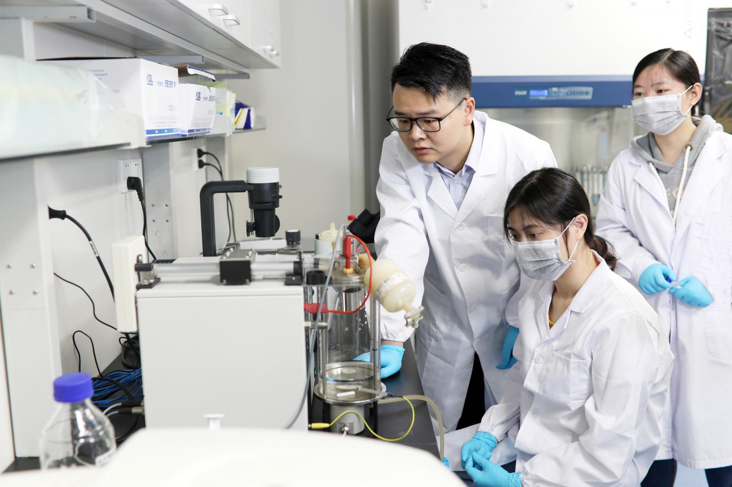 Green Tea Triggers Cellular Gene Switches tha EurekAlert!