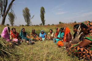 Rural area in India