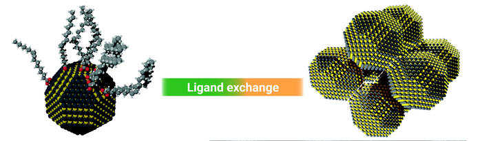 Quantum dots form ordered material EurekAlert!