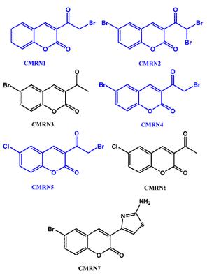 Anticancer Properties of Mono/di-Halogenated Coumarins