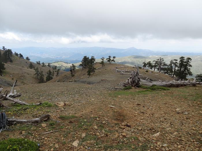 Field research in the Balkan region