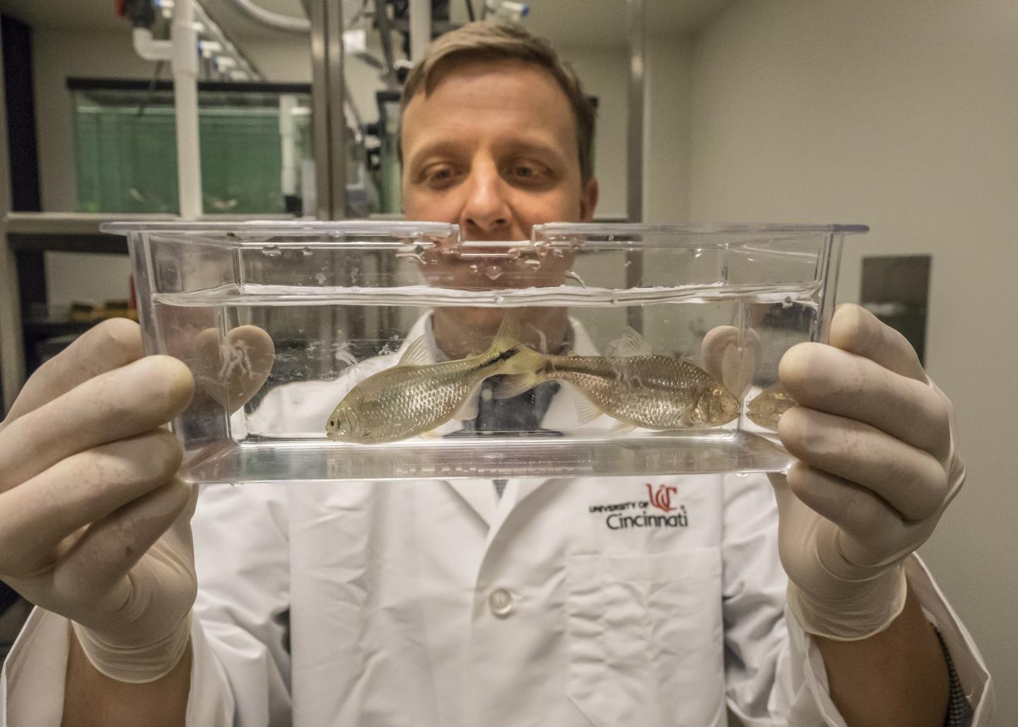 Joshua Gross, University of Cincinnati 