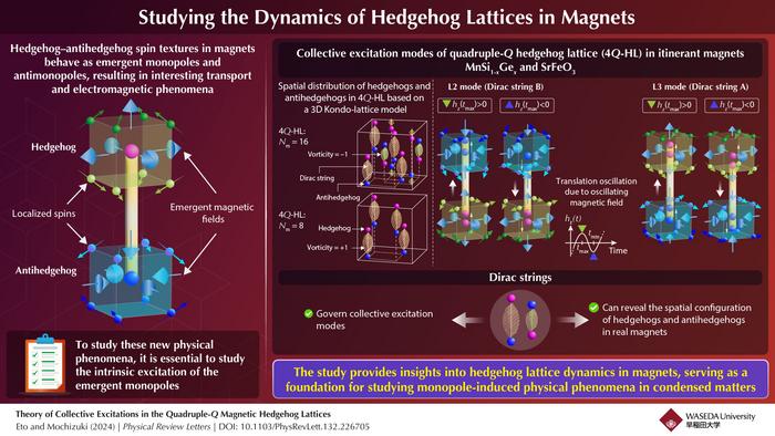 Intrinsic Excitations in Hedgehog Lattice